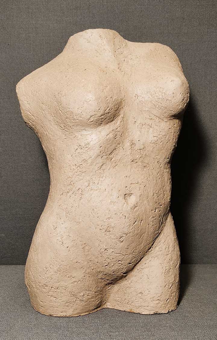 Renato Zanini pittore 216